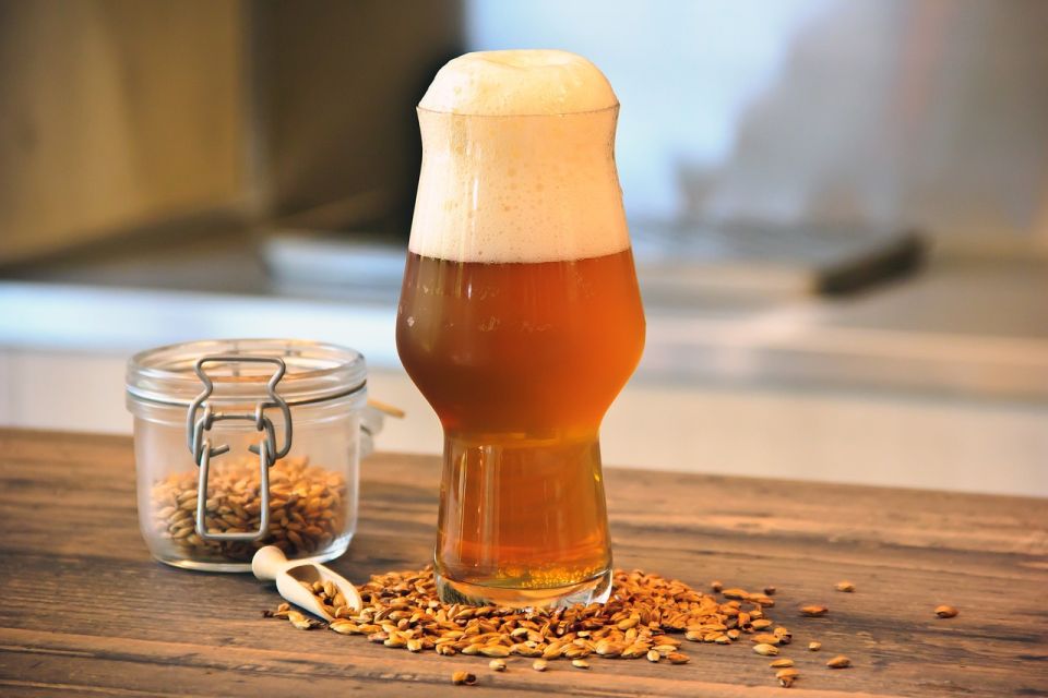 Brussels: Beer Tasting with a Local Guide - Pace, language, and who will enjoy it most