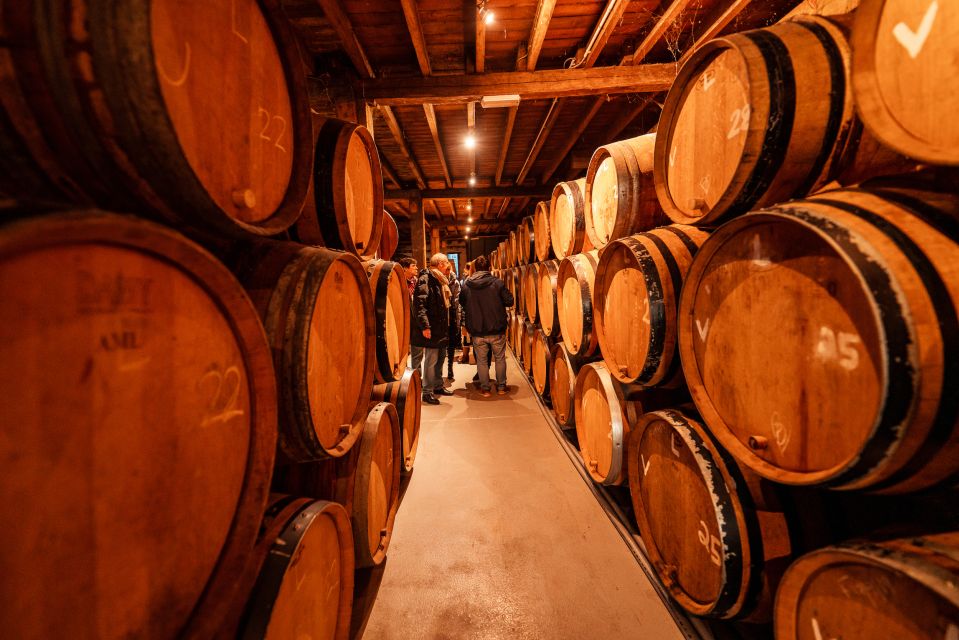 Brussels: Discover Belgium's Breweries with a Local - Price and what you actually get for $88