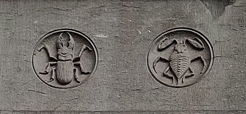 Brussels: Fall and Rise of Art-Nouveau Guided Tour - The Sgraffito Lesson: One Wall Trick, Big Difference