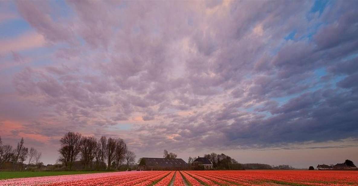 Brussels: Keukenhof, Tulips, and Delft Day Trip - Key points to know before you go
