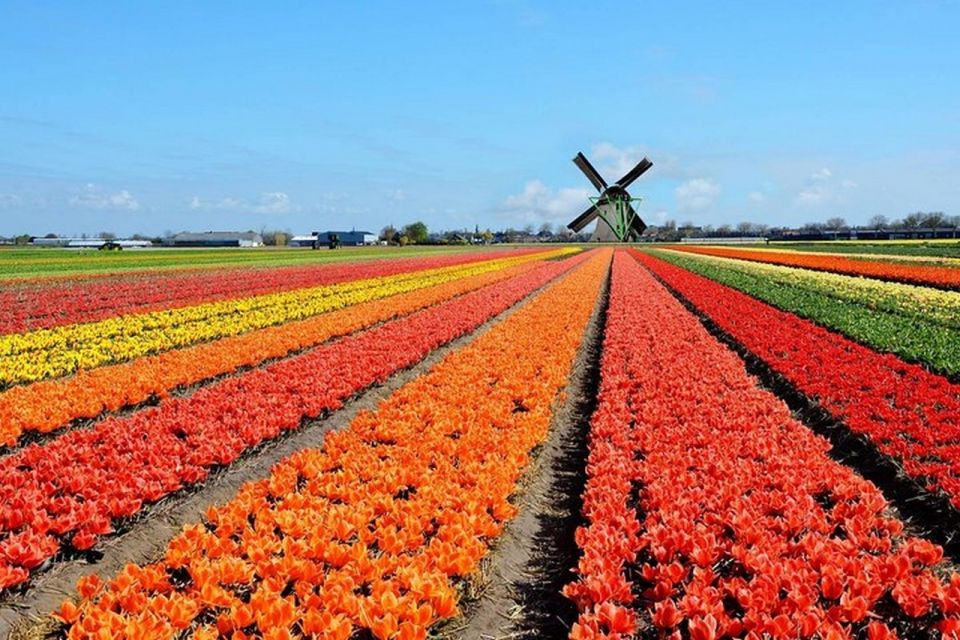 Brussels: Keukenhof, Tulips, and Delft Day Trip - Delft’s canals and blue-and-white pottery (and why that order works)