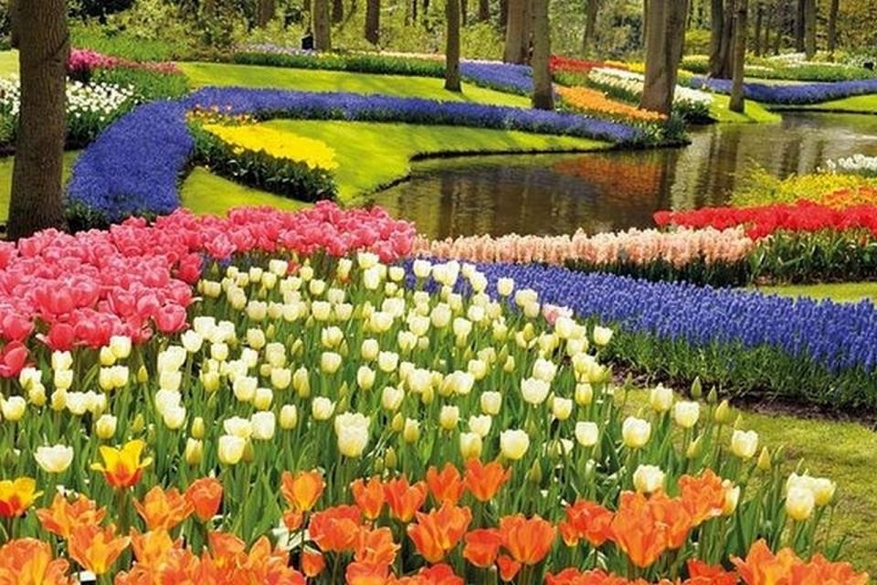 Brussels: Keukenhof, Tulips, and Delft Day Trip - Is $789 per person worth it for a 10-hour circuit?
