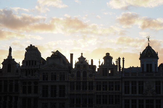 Private Half Day Tour of Brussels - Who this tour suits best (and what to bring)